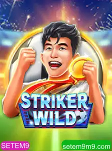 Explorando o Mundo de StrikerWILD: Guia Completo e Atualizado